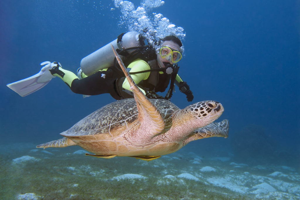 Scuba Diving Lessons Near Me